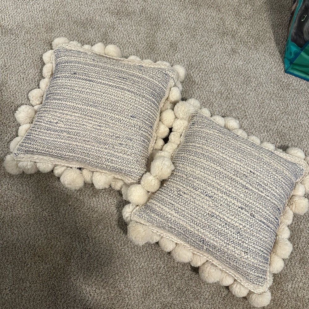 Anthropologie Pillows - set of 2 accent pillows